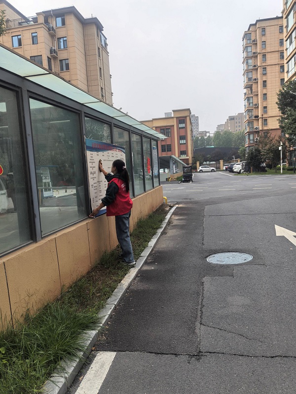 20251017ƽ-4.jpg